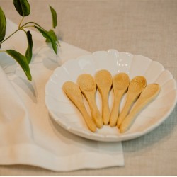 KIT DE 6 MINI COLHERES DE BAMBU