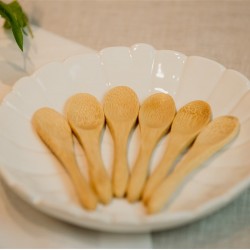 KIT DE 6 MINI COLHERES DE BAMBU