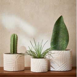 Cachepot em cimento com textura nude