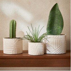 Cachepot em cimento com textura nude