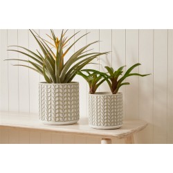 Cachepot em cimento textura folhas