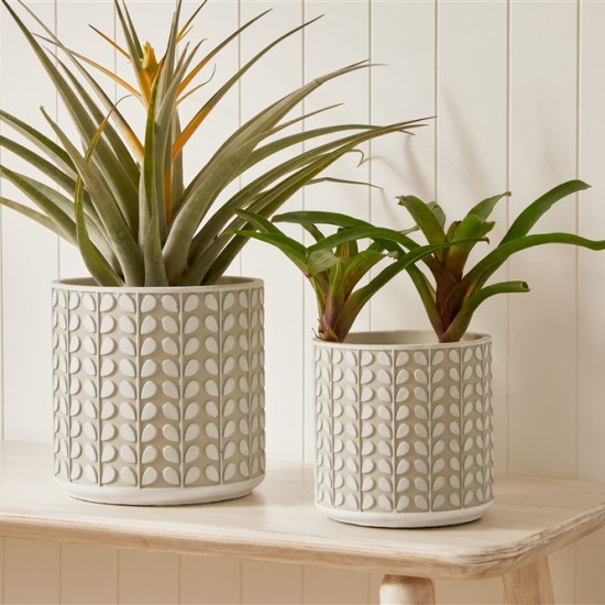 Cachepot em cimento textura folhas