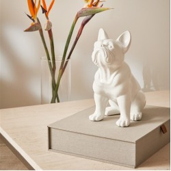 ESCULTURA CACHORRO EM POLIRESINA